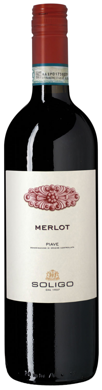 Merlot Piave DOC 1.0l