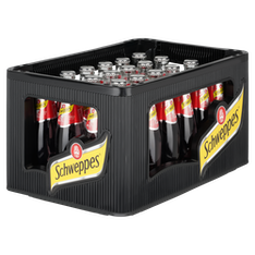 Schweppes Original Wild Berry 24x0.2l